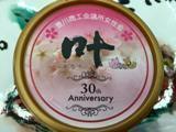 30S-3.jpg