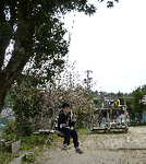 maturi-3.bmp
